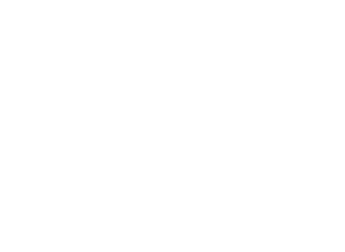 SamalinWealth_footer_logo